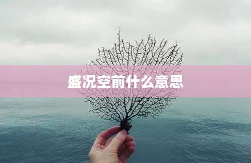 盛况空前什么意思