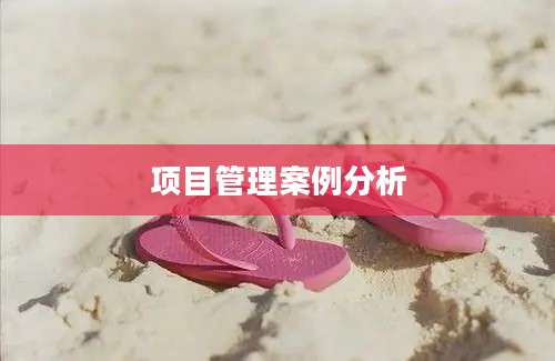 项目管理案例分析