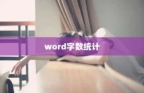 word字数统计