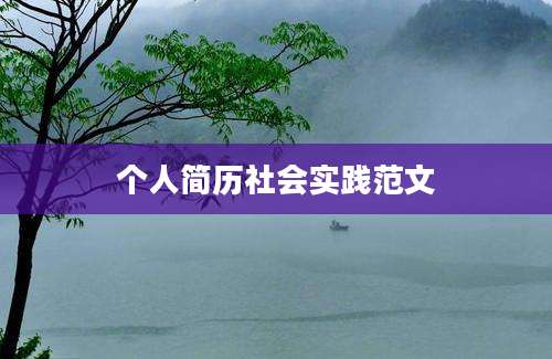 个人简历社会实践范文