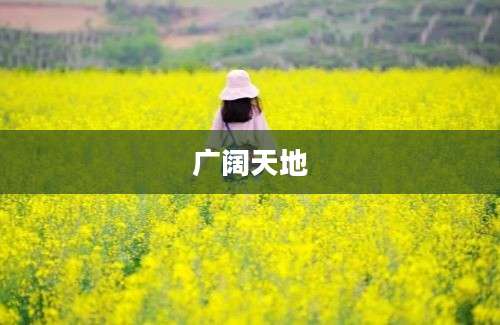 广阔天地