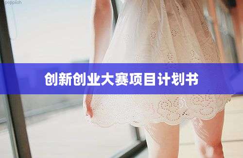 创新创业大赛项目计划书