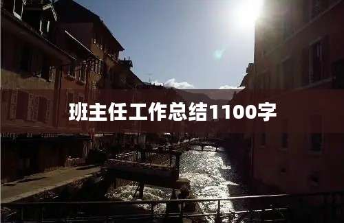 班主任工作总结1100字