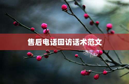 售后电话回访话术范文