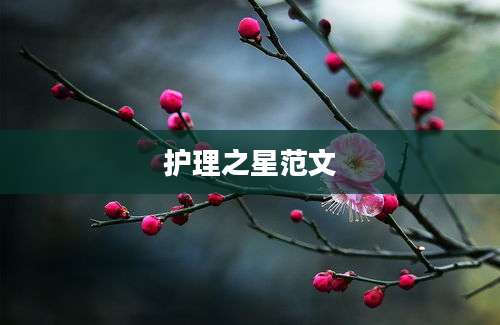 护理之星范文