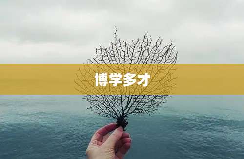 博学多才