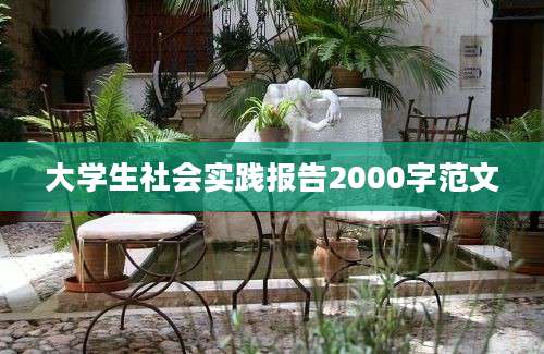 大学生社会实践报告2000字范文