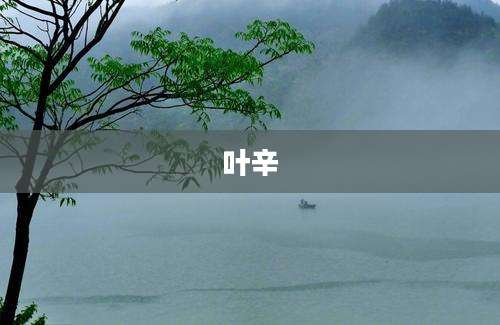 叶辛