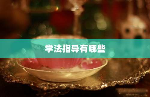 学法指导有哪些