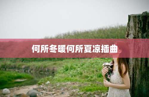 何所冬暖何所夏凉插曲