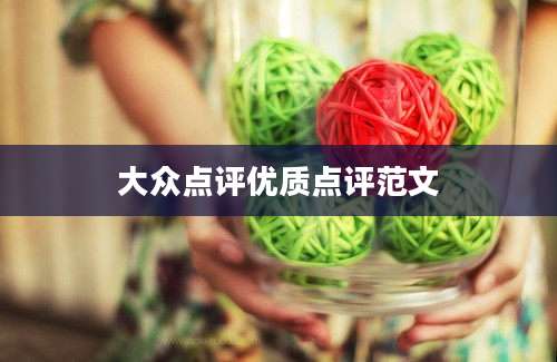 大众点评优质点评范文