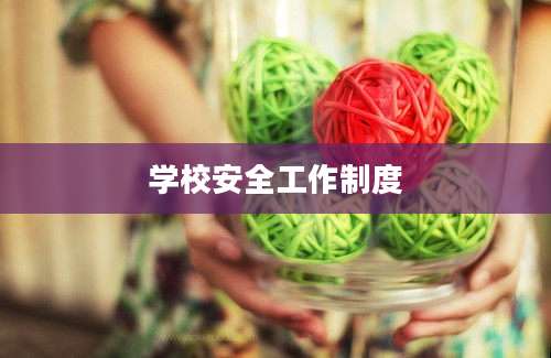 学校安全工作制度