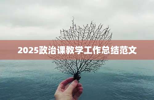 2025政治课教学工作总结范文