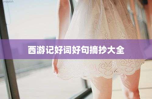 西游记好词好句摘抄大全