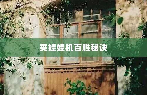 夹娃娃机百胜秘诀