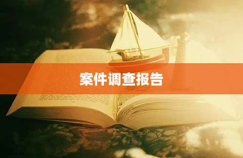 案件调查报告