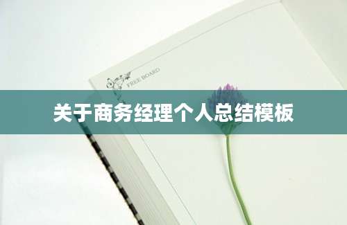 关于商务经理个人总结模板