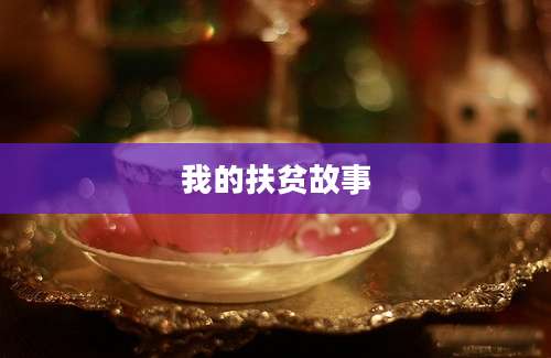 我的扶贫故事