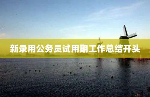 新录用公务员试用期工作总结开头