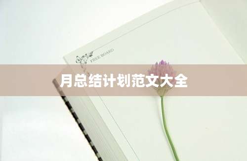 月总结计划范文大全