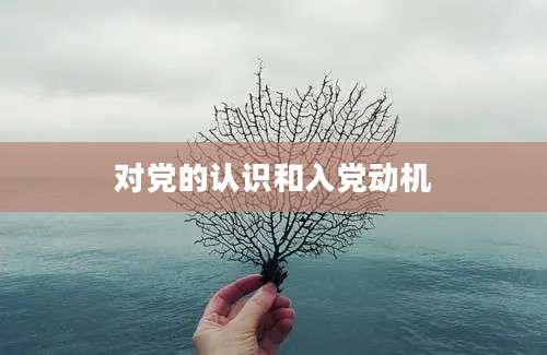 对党的认识和入党动机