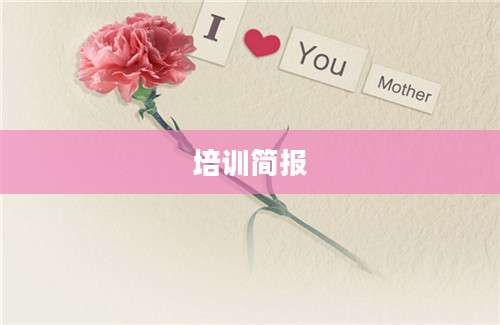 培训简报