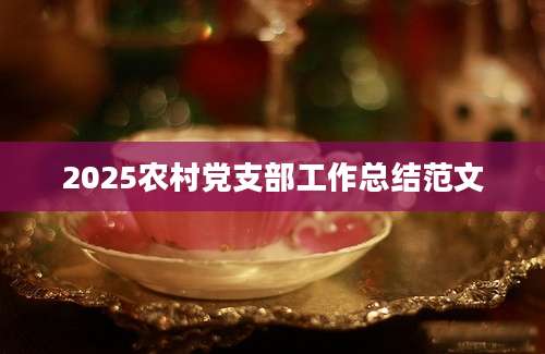 2025农村党支部工作总结范文