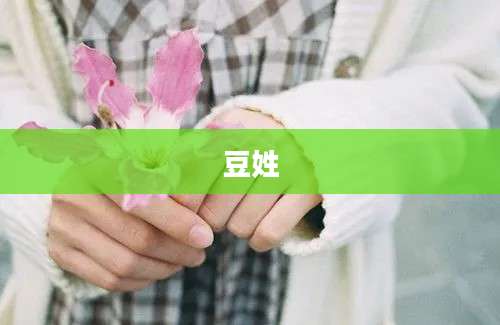 豆姓