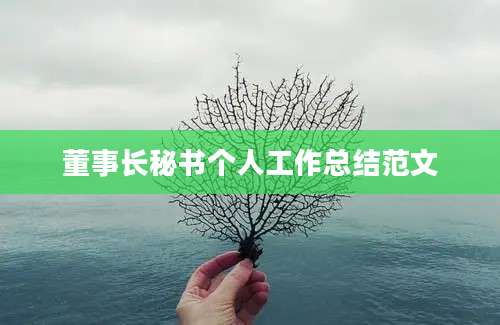 董事长秘书个人工作总结范文