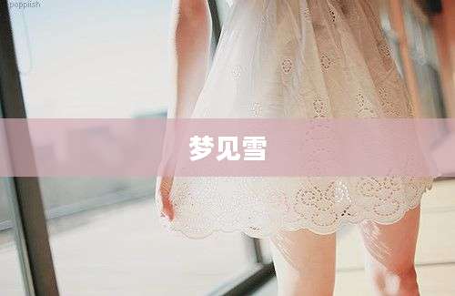 梦见雪