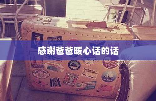 感谢爸爸暖心话的话
