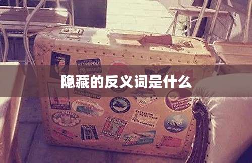 隐藏的反义词是什么