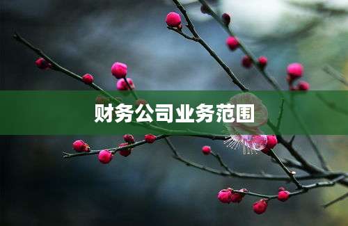 财务公司业务范围