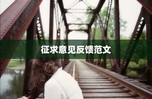 征求意见反馈范文