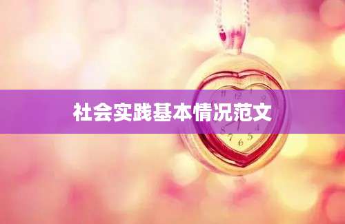 社会实践基本情况范文