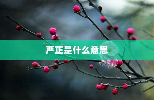 严正是什么意思