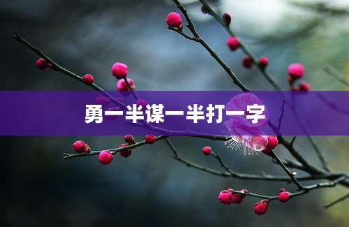 勇一半谋一半打一字