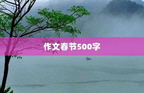 作文春节500字