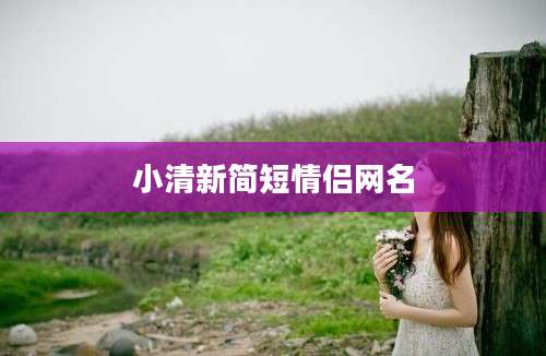 小清新简短情侣网名