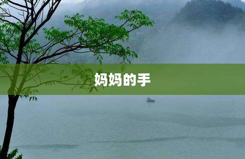妈妈的手