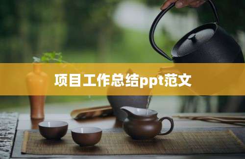 项目工作总结ppt范文
