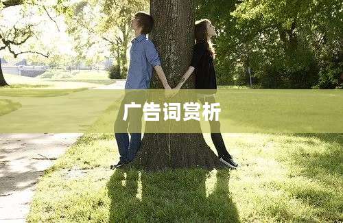 广告词赏析