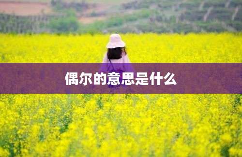 偶尔的意思是什么