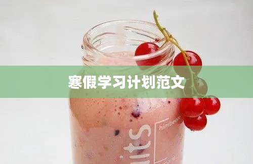 寒假学习计划范文