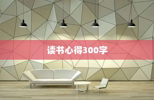 读书心得300字