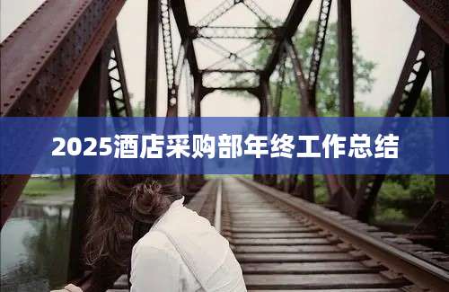 2025酒店采购部年终工作总结