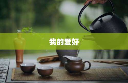 我的爱好