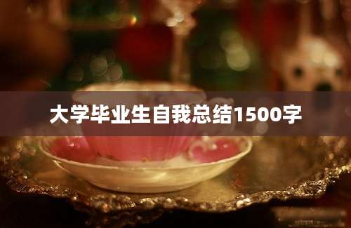 大学毕业生自我总结1500字