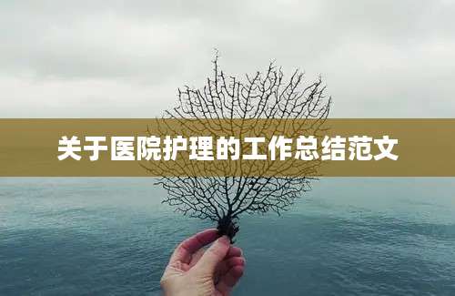 关于医院护理的工作总结范文