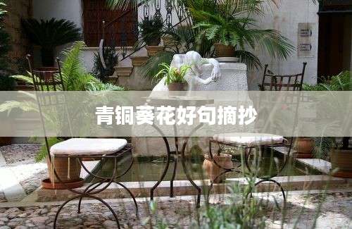 青铜葵花好句摘抄